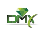 Logo DMX Solo (1) Logo DMX Solo (1)
